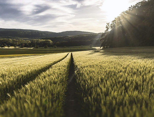 Land Development, Sale And Purchase – What Are My Options - SJD Projects Land Acquisition